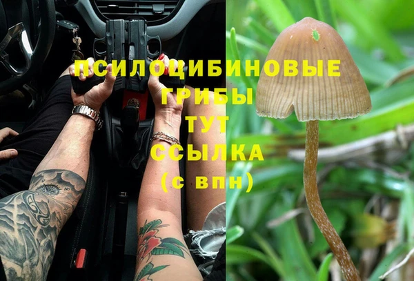 первитин Новокубанск