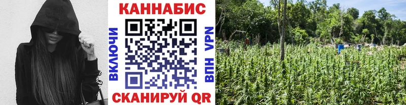 хочу наркоту  МЕГА зеркало  Бошки Шишки SATIVA & INDICA  Приволжск 