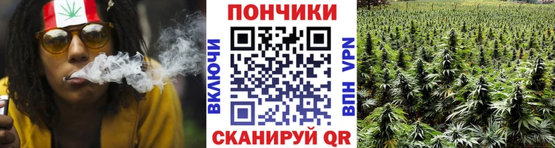 Бошки Шишки MAZAR Приволжск